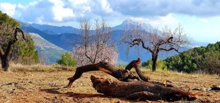 EL ÚNICO apartment with jacuzzi and art - 2
