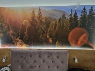 Vila Jahor Apartman Miro - Jahorina - 1