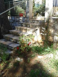 Holiday Home Angie - Maslinica - 6