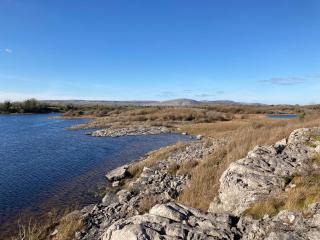 Luxury Glamping Dome with views of the Burren - Boston - 1