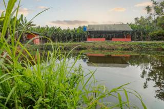 Kudajadri Drizzle Homestay - Kaniyāmbetta - 1