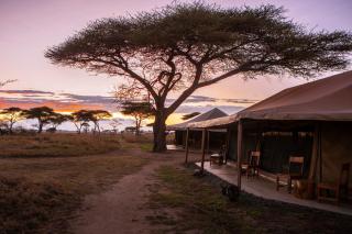 Mawe Tented Camp - Serengeti - 7