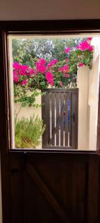 Casa Buganvilla con piscina en San José Sotillo - 5