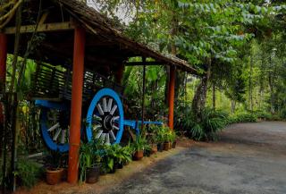 Kudajadri Drizzle Homestay - Kaniyāmbetta - 3