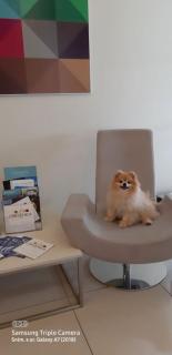 Hotel Crikvenica - Crikvenica - 9