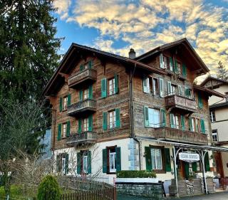Edelweiss Lodge - Wilderswil - 9