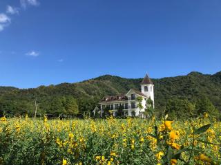 Salzburg B&B - Yuemei - 6