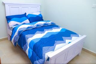 Luxurious-2 bedroom Furnished Apartment - TRM Drive - Nairobi - 7