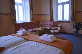 Hotel U Kozicky - 9