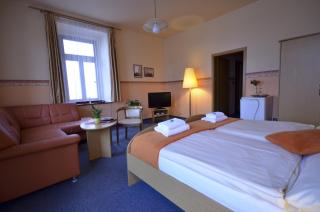 Hotel U Kozicky - Teplice - 1