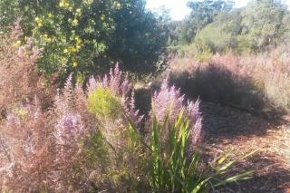 Plettenberg Bay Cottage - 4