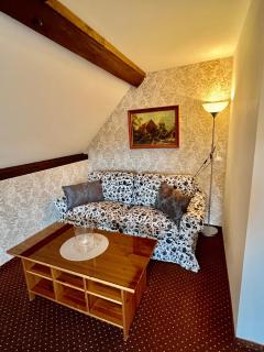 Hotel Jiřičná - Sušice - 3