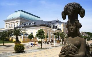 Penzion U Modrého Slona - 8