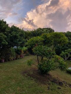 Eden des laves - Sainte-Rose - 5