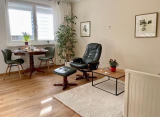 zentrumsnahe Leipzig-Apartments, nahe UFZ und BMW inkl Parkplatz und Fahrräder - Leipzig - 6