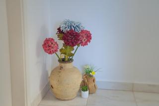 Apartments Summer Joy - Novalja - 5