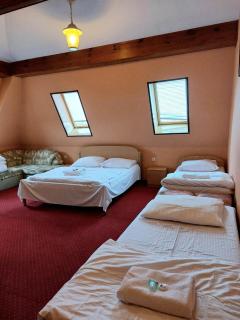 Motel Delfin ** - Trojanów - 2