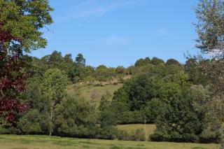Auberge Du Parc - Baudricourt - 3
