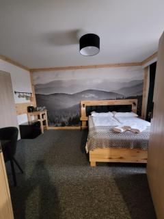 Karolowy pokoje&apartamenty - Ustroń - 6