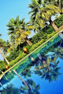Villa Augusto Boutique Hotel & SPA - Konaklı - 1