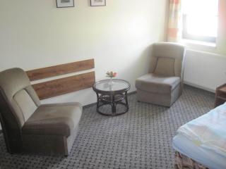 Hotel Filippi - Ždírec nad Doubravkou - 1