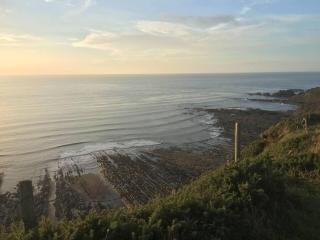 Cosy cottage near Hartland Village - Bideford - 1