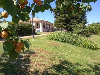 Roberta appartamenti "Le Muratelle" - San Vincenzo - 8