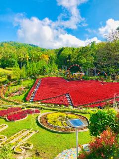 Jardin De Ysabelle 15,000 Hearts - 7