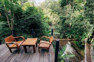 Wilderness Treehouse - Doi Saket - 1