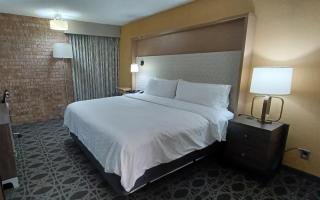 Holiday Inn - McAllen - Medical Center Area by IHG - McAllen - 2