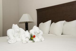 Quality Inn & Suites Yellowknife - Yellowknife - 9