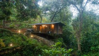 Ela Ecoland Nature Retreat - Munnar - 1
