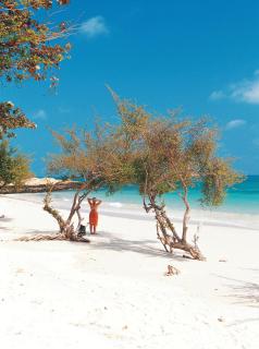 Grand Blue BestFamily Sea&Pool view 2BR apart 56m2 - Ban Tha Fat - 1