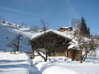 Ferienhaus Lindaubachgütl - Fieberbrunn - 7