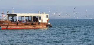 Séjour en Galillé - 5