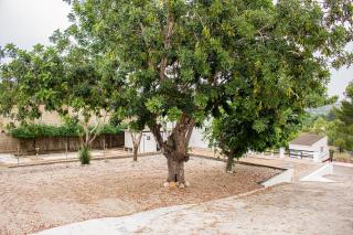 Casa Mas Montañas - Gris - 4