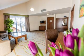 Hotel Olivia Medical SPA - Skomielna Czarna - 4