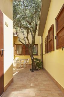 Country House La Madonnina - Senigallia - 2