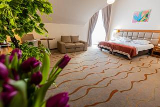 Hotel Olivia Medical SPA - Skomielna Czarna - 3