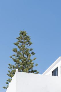 Absolute Kiotari Resort - 3