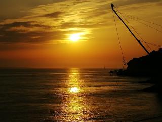 Le TOM de ROYAN - Royan - 1