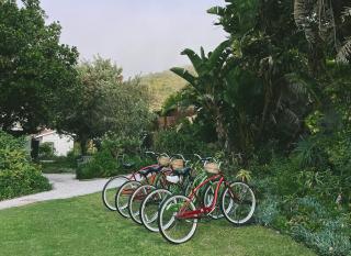 Panzi Garden Suite - Knysna - 7