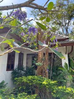 Bhumlapa Garden Resort - Bophut - 8