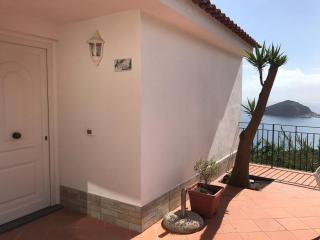 L' Ulivo Villa Nunzia - Isquia - 8