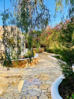 Villa con piscina gigante - Sant Francesc de s'Estany - 2