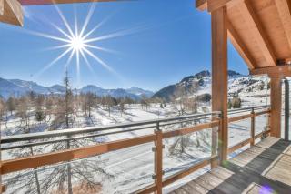 Royal A Penthouse - Riederalp - 7