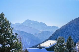 Riederhof 355 - Riederalp - 5