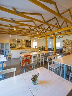 Hostel Zahrada Mikulov - Mikulov - 4