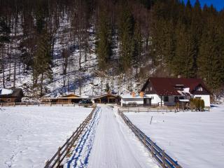 Casa Andreea - Broşteni - 5
