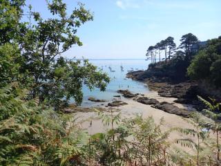 Gîte Versant Ouest, 700 m des plages. - Plougonvelin - 8